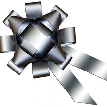Load image into Gallery viewer, Car Bows Sales Department New Mexico Independent Auto Dealers Association Store Silver Vinyl