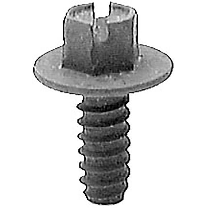 License Plate Screws - Slotted Hex Washer Head (Black E-Coat) Sales Department New Mexico Independent Auto Dealers Association Store